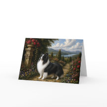 Renaissance Shetland Sheepdog Blankokaart