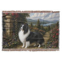 Renaissance Shetland Sheepdog 