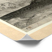 Renaissance Stallion Spanish Horse by Stradanus Poster (Hoek)