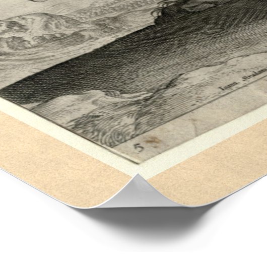 Renaissance Stallion Spanish Horse by Stradanus Poster (Hoek)