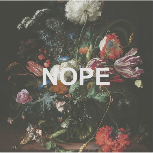 Renaissance stilleven schilderen + leuke nope teks sticker (Voorkant)