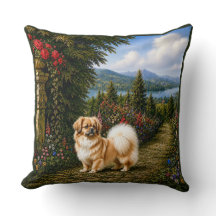 Renaissance Tibetaanse Spaniel