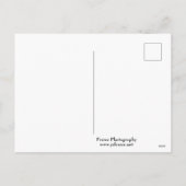 renaissancestijl openbare bibliotheek in milwaukee feestdagenkaart (Achterkant)