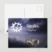 Renar på fjäll vinter briefkaart (Voorkant / Achterkant)