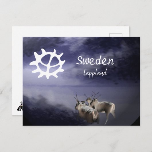 Renar på fjäll vinter briefkaart (Voorkant / Achterkant)