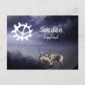 Renar på fjäll vinter briefkaart (Voorkant)