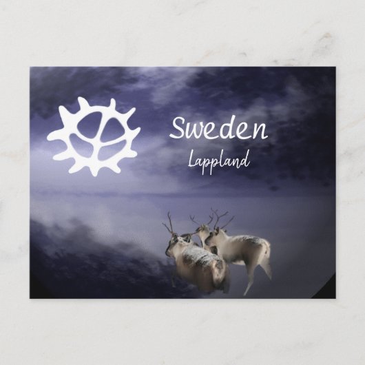 Renar på fjäll vinter briefkaart (Voorkant)