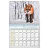 Renard kalender, Calendar Fox, Forest Kalender (Jan 2027)