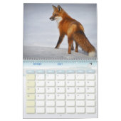 Renard kalender, Calendar Fox, Forest Kalender (Feb 2027)