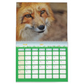 Renard kalender, Calendar Fox, Forest Kalender (Mar 2027)