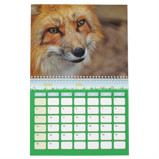 Renard kalender, Calendar Fox, Forest Kalender (Mar 2026)