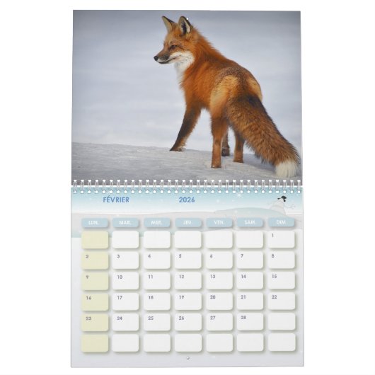 Renard kalender, Calendar Fox, Forest Kalender (Feb 2026)