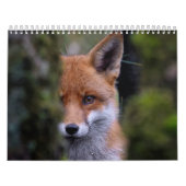 Renard kalender, Calendar Fox, Forest Kalender (Hoes)
