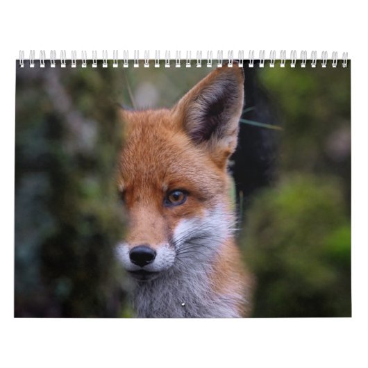 Renard kalender, Calendar Fox, Forest Kalender (Hoes)