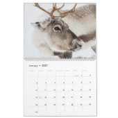 Rendier 2027 kalender (Jan 2027)