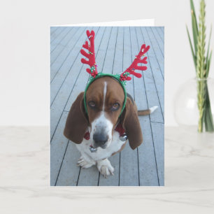 Rendier Basset Holiday Christmas Kaart