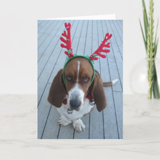 Rendier Basset Holiday Christmas Kaart