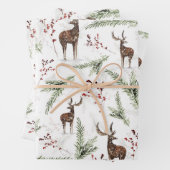 rendier dat papierweefsel verpakt inpakpapier vel (In situ)