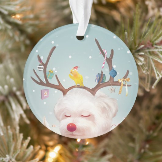 Rendier Hond met Kerstmis Ornamenten (Boom)