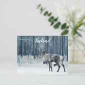 rendier in Lapland Finland Briefkaart (Staand voorkant)
