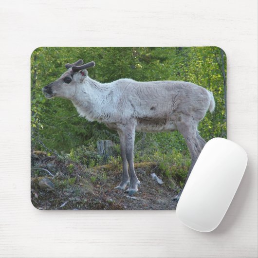 rendier in Lapland mousepad Muismat (Met muis)
