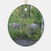 rendier in Lapland ornament (Links)