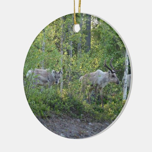 rendier in Lapland ornament (Links)