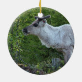 rendier in Lapland ornament (Achterkant)