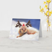 Rendier in Training vakantiepas Kaart (Gele Bloem)