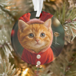 Rendier Kitten Ornament