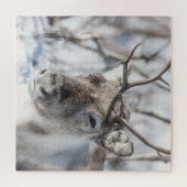 Rendier Natuur Foto Legpuzzel (Horizontaal)