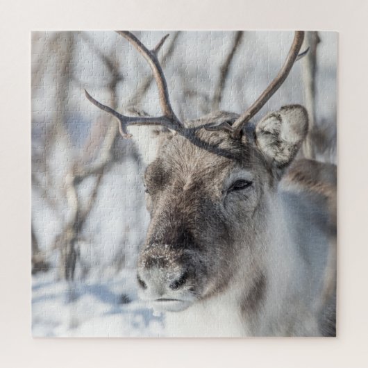 Rendier Natuur Foto Legpuzzel (Verticaal)