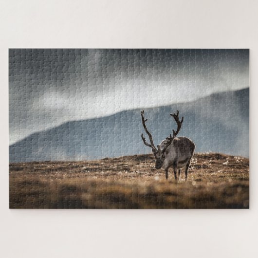 Rendier Natuur Foto Legpuzzel (Horizontaal)