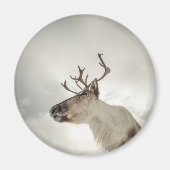 Rendier Natuur Foto Magneet (Voorkant)