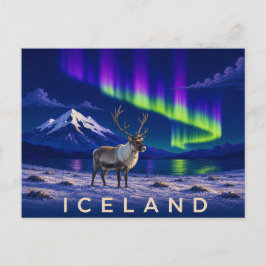 Rendier onder het Noorderlicht | Iconisch IJsland Briefkaart