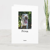 Rendier Prima Feestdagen Kaart (Achterkant)