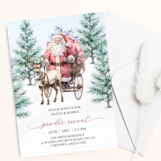 Rendier Santa Sleigh Kerstmis Gender Reveal Kaart