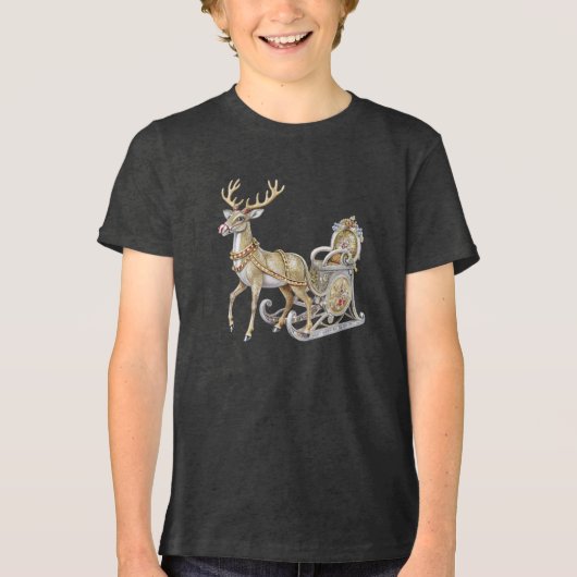 Rendier Sleigh Boys T-shirt (Voorkant)