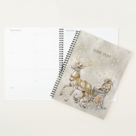 Rendier Sleigh Holiday Planner (Display)