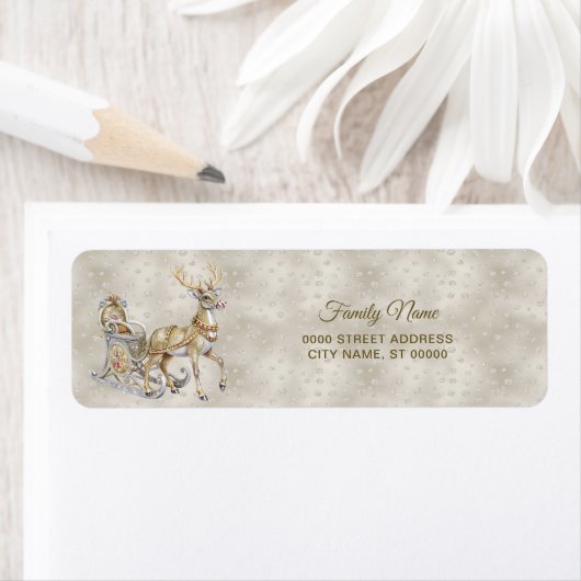 Rendier Sleigh Return-adreslabel Etiket (Insitu)