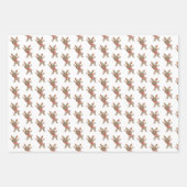 Rendier Sneeuwvlokken Holly Berries Kerstmis Inpakpapier Vel (Voorkant)