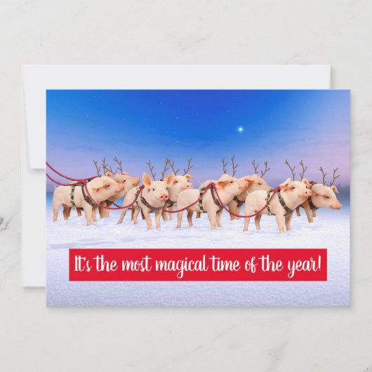 Rendier Varkens Kaart (Voorkant)