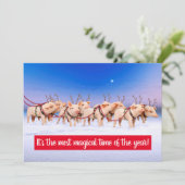 Rendier Varkens Kaart (Staand voorkant)