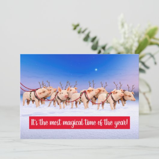 Rendier Varkens Kaart (Staand voorkant)