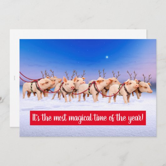 Rendier Varkens Kaart (Voorkant / Achterkant)