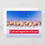 Rendier Varkens Uitnodiging Briefkaart (Voorkant / Achterkant)