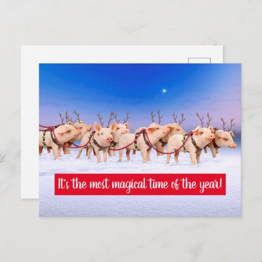 Rendier Varkens Uitnodiging Briefkaart (Voorkant / Achterkant)