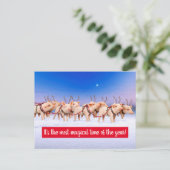 Rendier Varkens Uitnodiging Briefkaart (Staand voorkant)