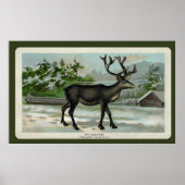  rendierafdrukken poster (Voorkant)