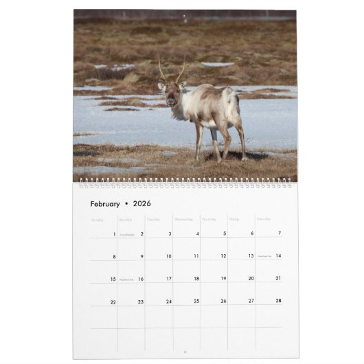 Rendieren 2026 kalender (Feb 2026)